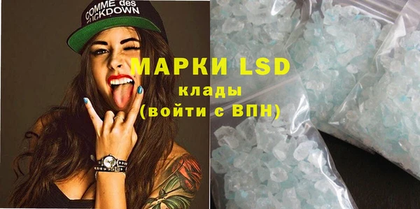 прущие грибы Алексеевка