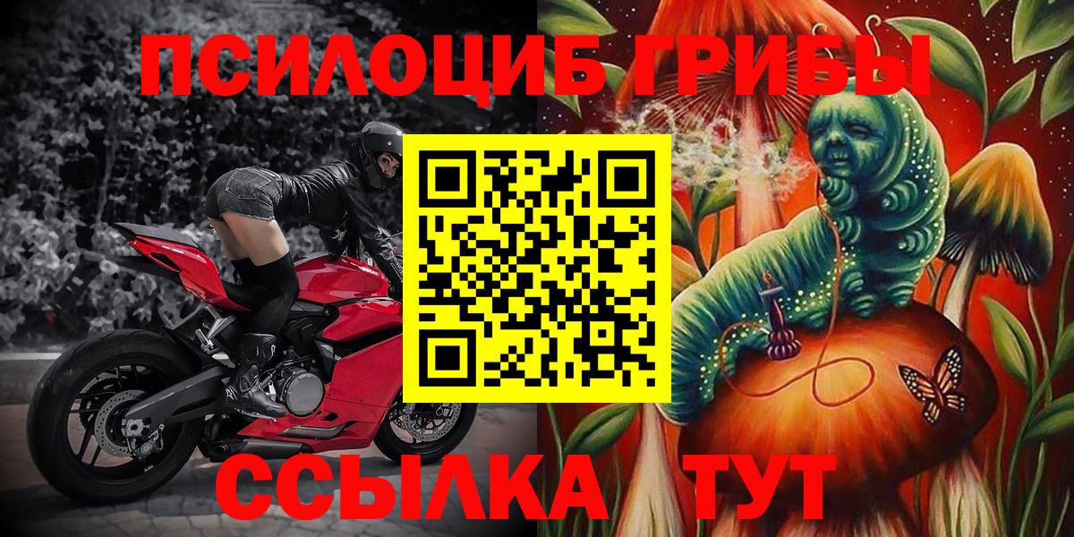 Ростов-на-Дону  Галлюциногенные грибы прущие грибы  Вход с VPN  Псилоцибиновые грибы Cubensis 